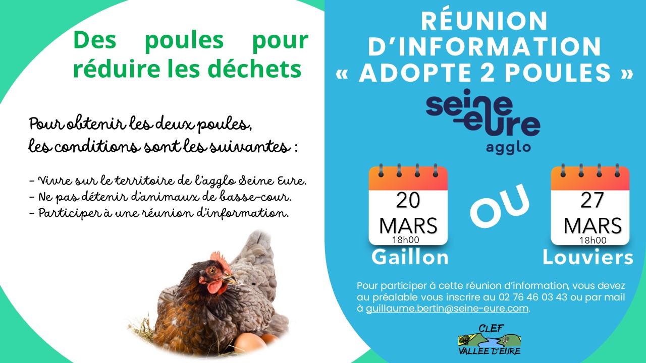 [ADOPTE 2 POULES]🐓🥚