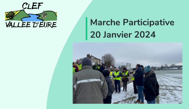 marche participative