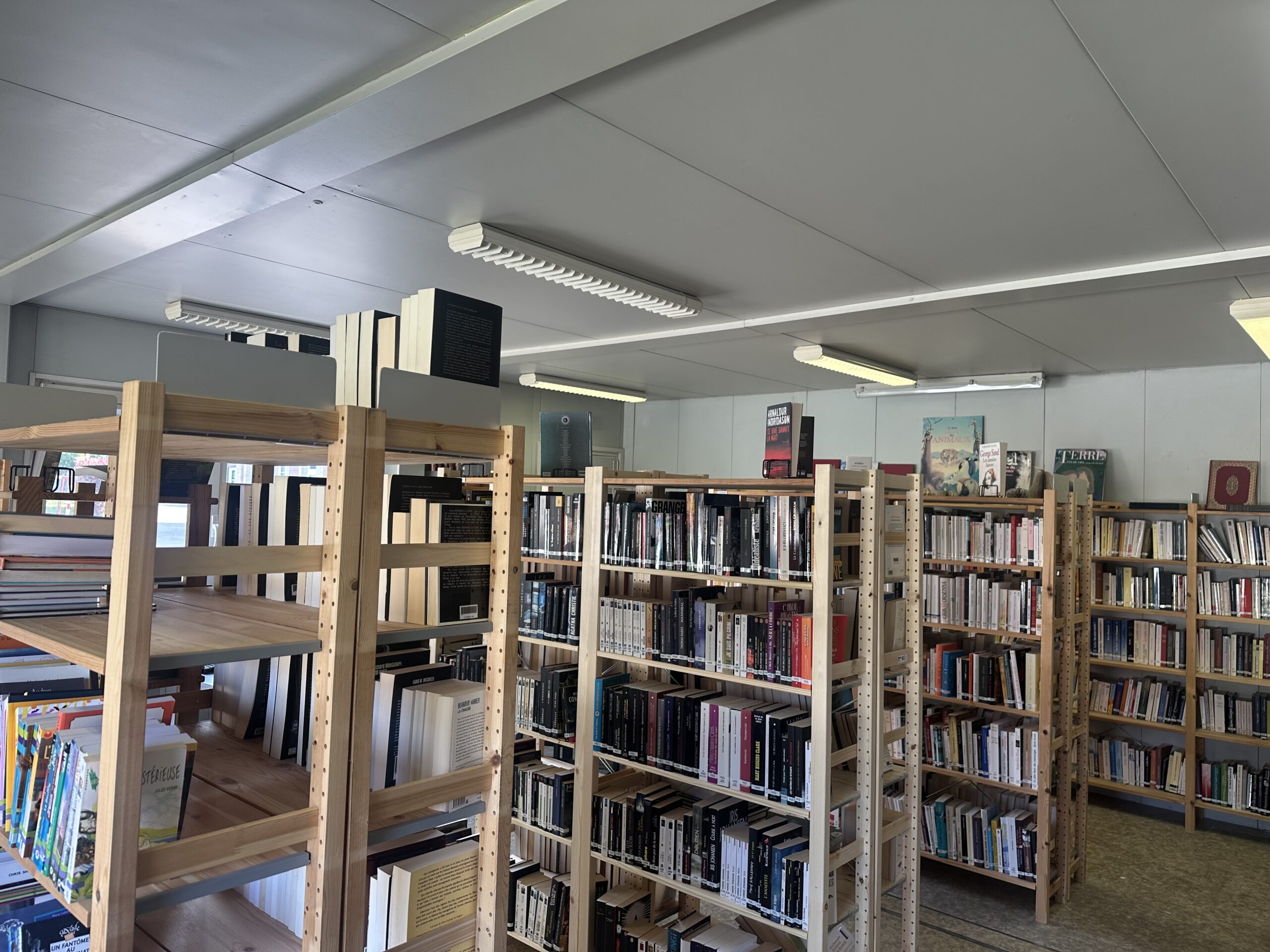 Bibliotheque-2026-3